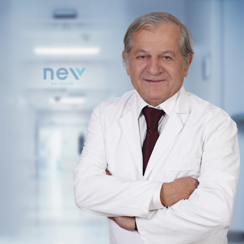 Hayri Necdet Uluışık